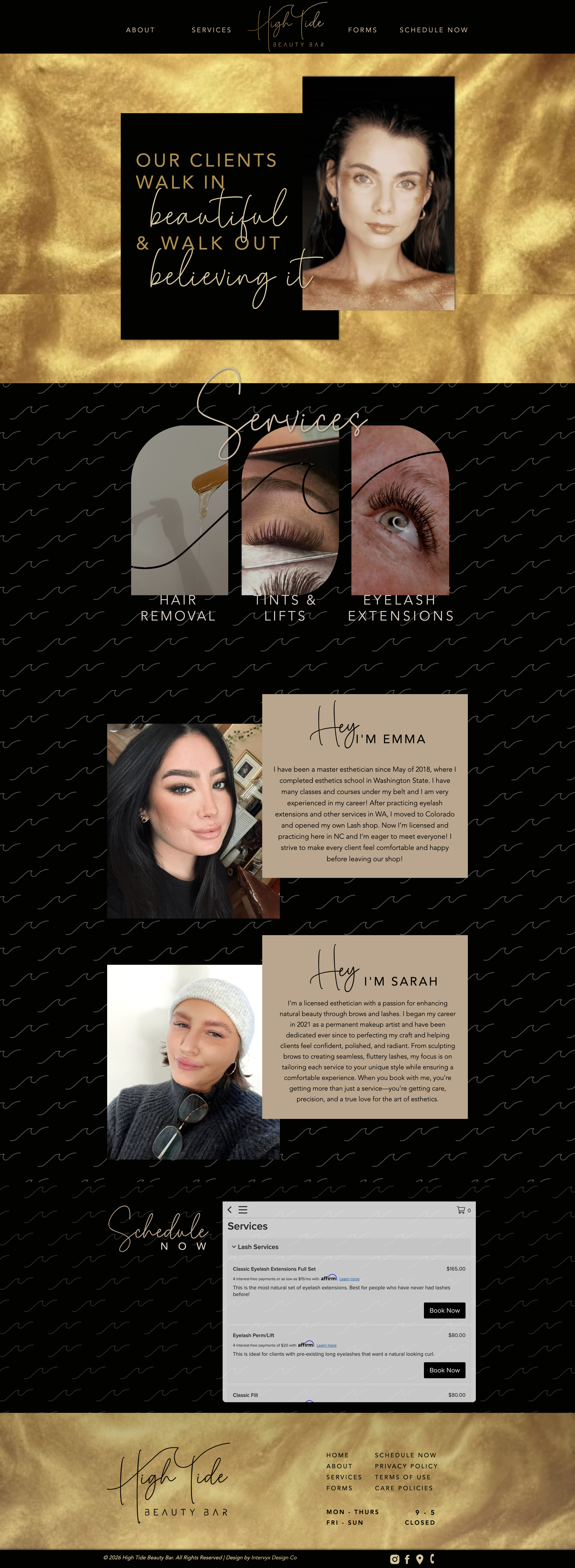 Website preview